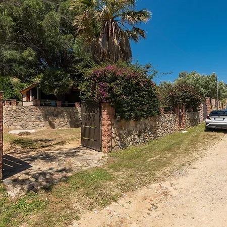 Lidia Vicino Al Mare *